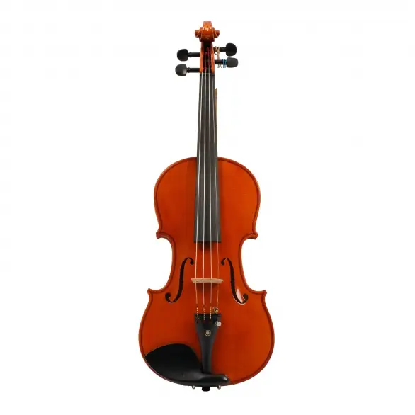 Bogenholz CV200 Conservatoire Model Keman