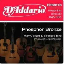 D'Addario EPBB170 Akustik Bas Gitar Teli (45-100)