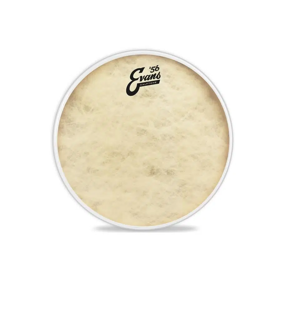 Evans TT13C7 Calftone Serisi Tom Derisi (13 inç - Tek Kat)