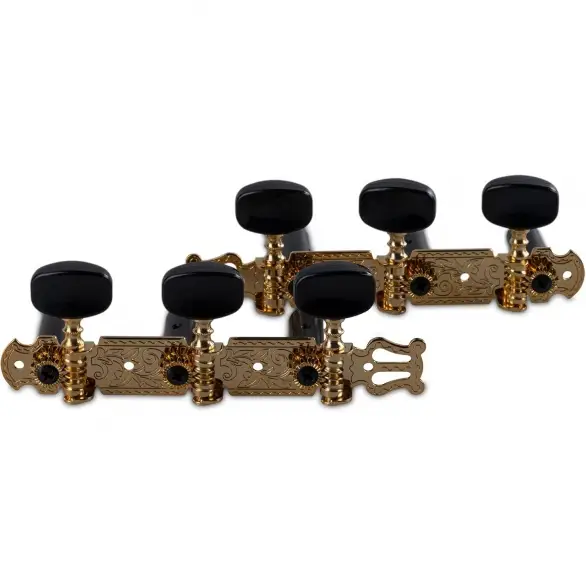 Gewa 545220 Pro Arte Gold Plated Klasik Gitar Burgusu Set