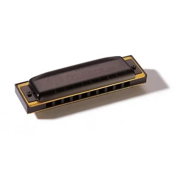 Hohner M564096P Pro Harp Ab-major Mızıka
