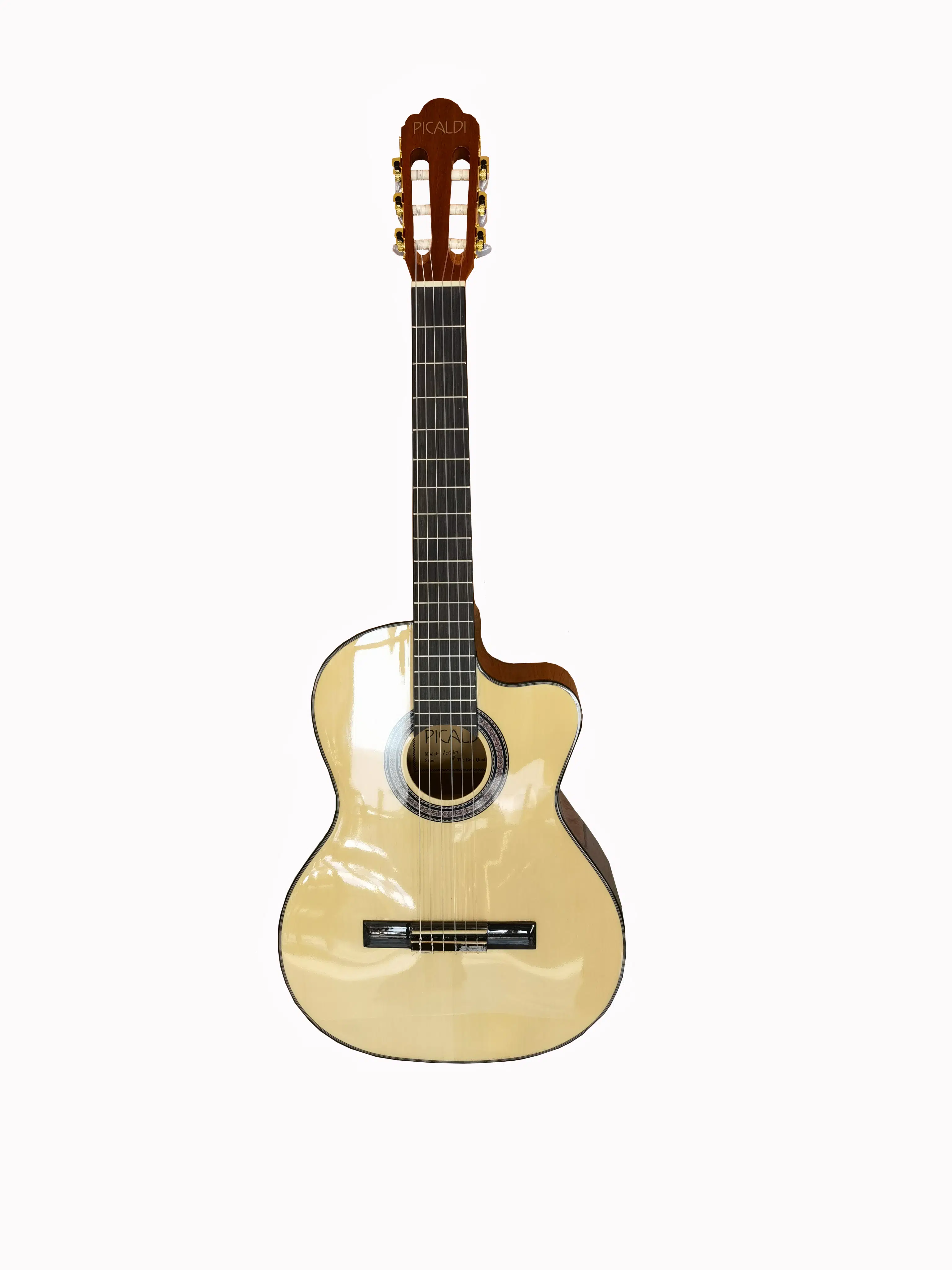 Picaldi ACG21CE Elektro Klasik Gitar (4/4) | Cutaway Kesik Kasa ile Üst Perdelere Kolay Erişim Dahili Preamp ile Sahne Bağlantısı İçin Hazır