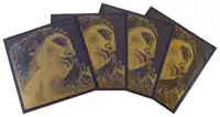 Pirastro Evah Pirazzi Gold Set Viyola Teli