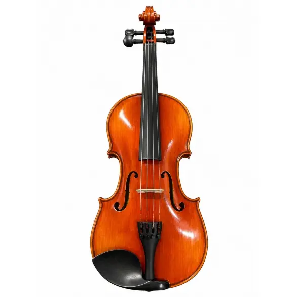 Rösler RS200C 4/4 Concert Keman Seti