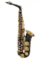 Saksofon Selmer-Paris Supreme black, outfit Alto
