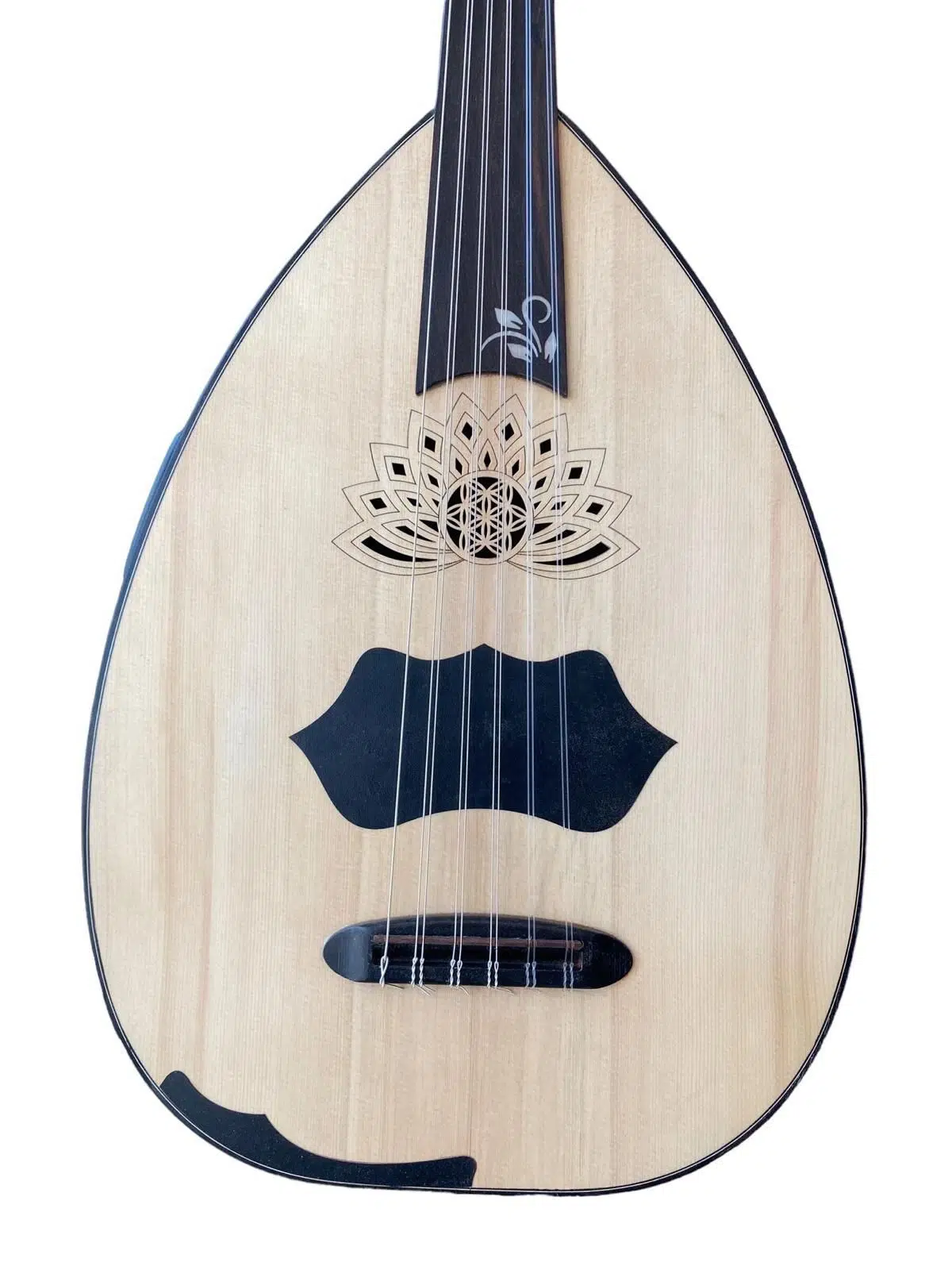 slt ks100 ST Elektro-Akustik Ud Seti | Çanta,Mızrap, Dahili Fishmann EQ
