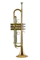 Trompet Trevor James Renaissance 4500
