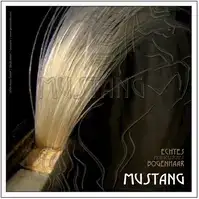 Viyolonsel Arşe kılı Gewa Mustang
