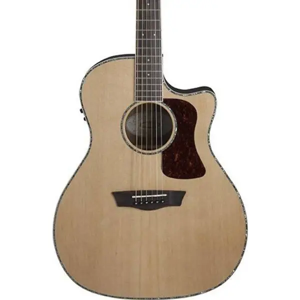 Washburn HG26SCE Heritage 20 Serisi Elektro Akustik Gitar