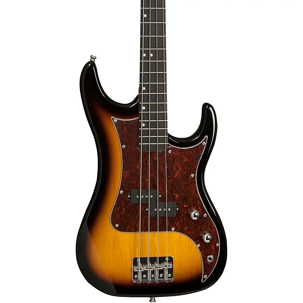 Washburn Sonamaster - SB1PTS Bas Gitar