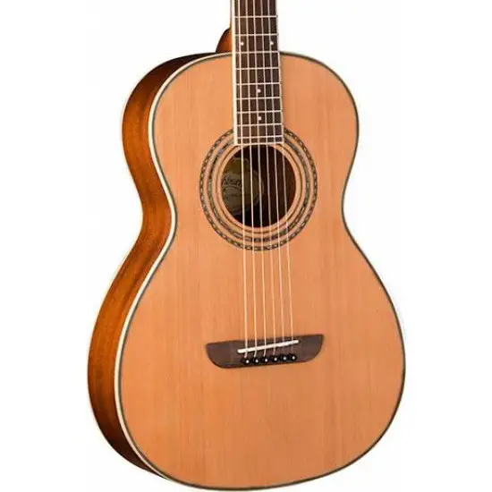 Washburn WP11SNS Harvest P11S Akustik Gitar