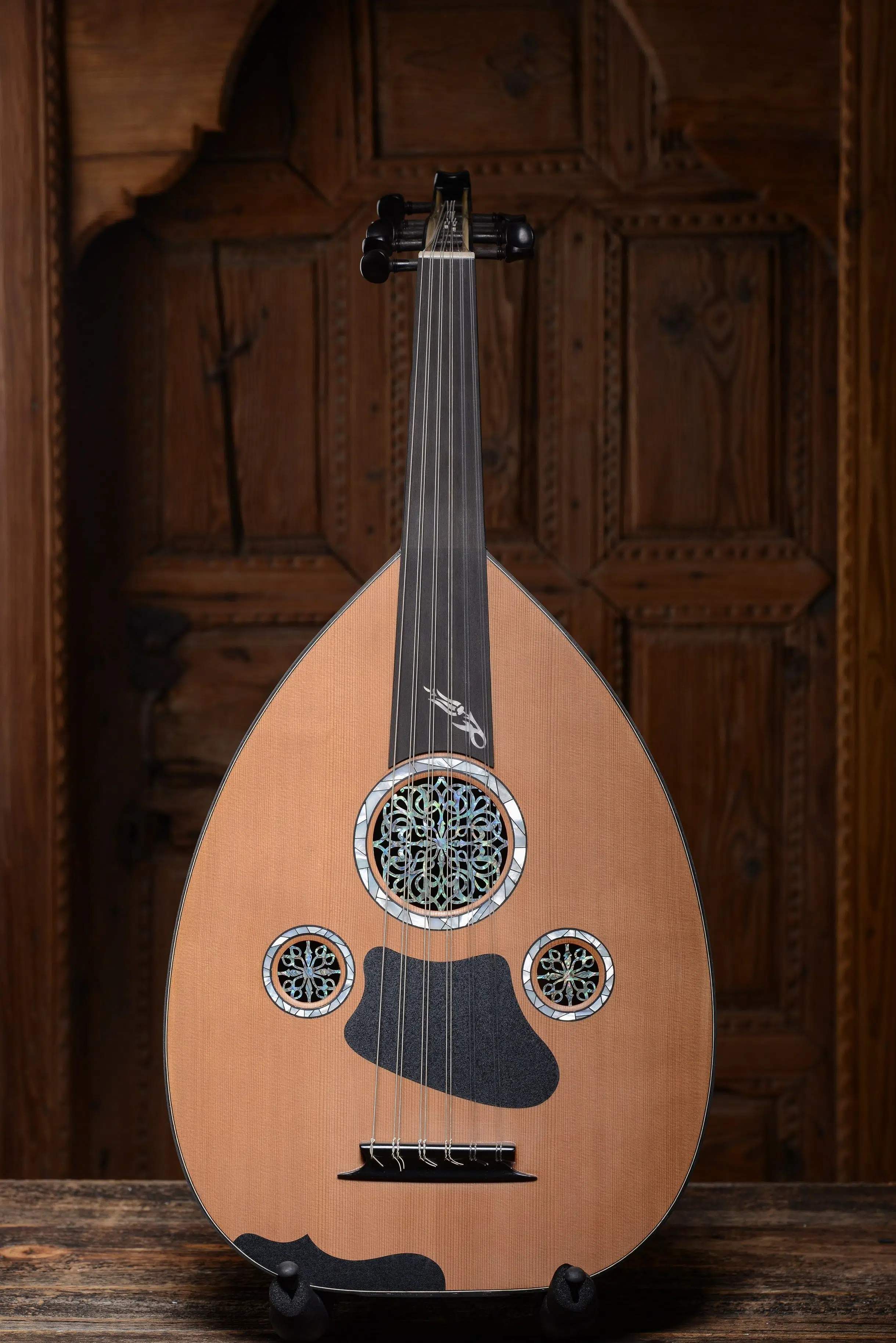 Yıldırım Palabıyık 4138433259 Profesyonel Konser Ud Seti (Do-Do)-Wenge | Sert Kılıf, 5 Pena, Ext.Tel