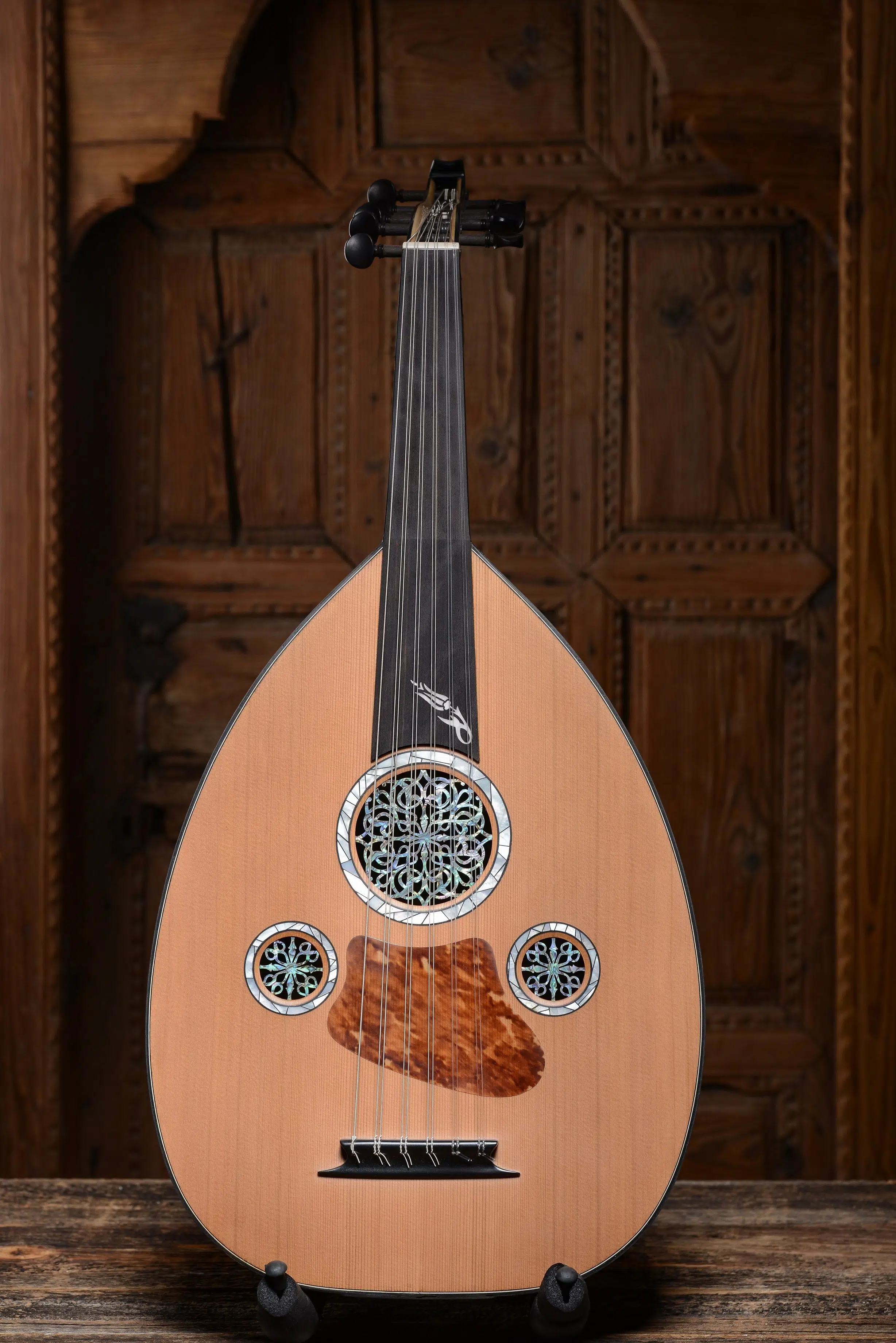 Yıldırım Palabıyık 4138429838 Profesyonel Konser Ud Seti (Do-Do)-Wenge | Sert Kılıf, 5 Pena, Ext.Tel